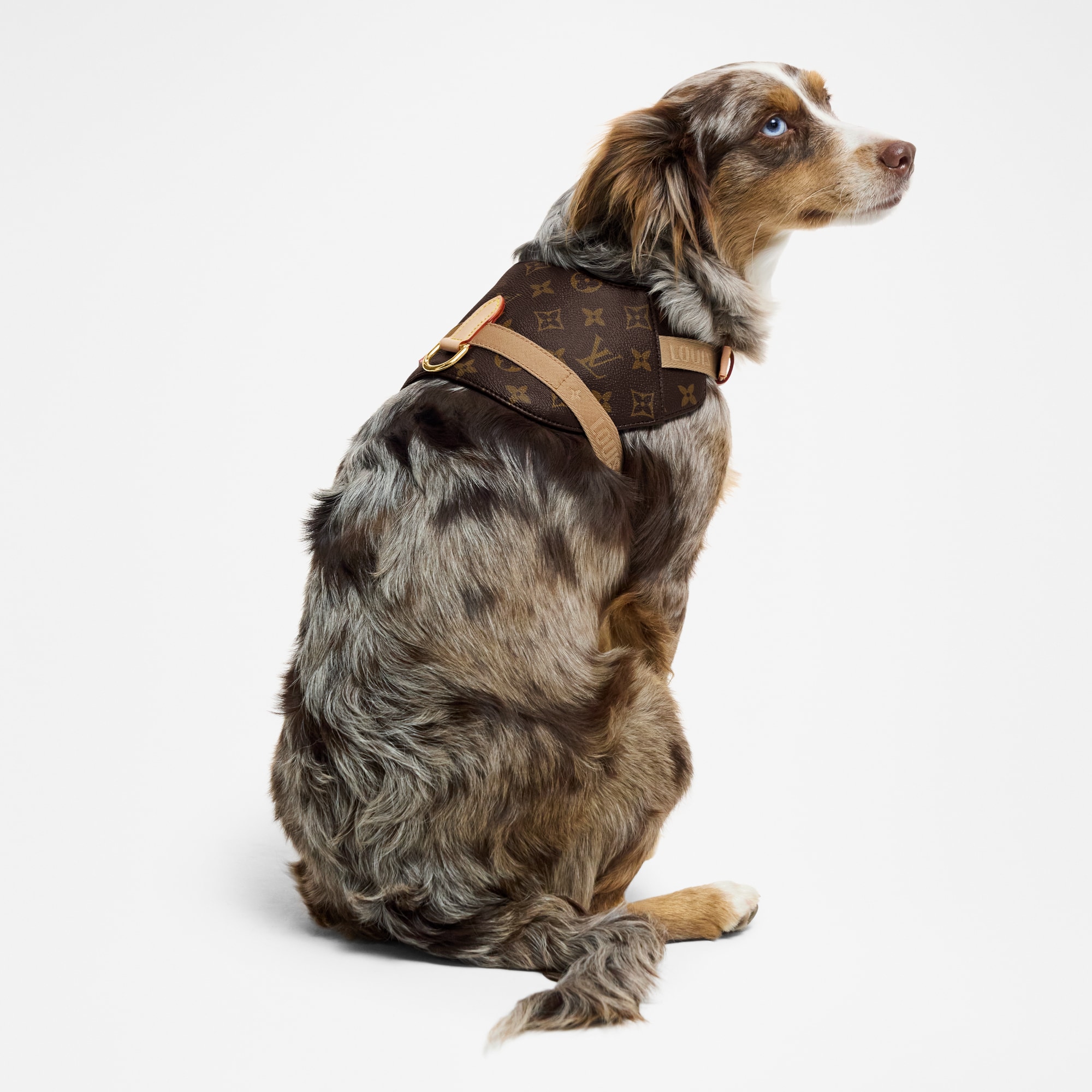 LOUIS VUITTON ハーネス MM GI1222 Harness MM - Pets Accessories | LOUIS VUITTON